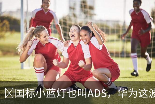​国标小蓝灯也叫ADS，华为这波白捡了个大便宜？
