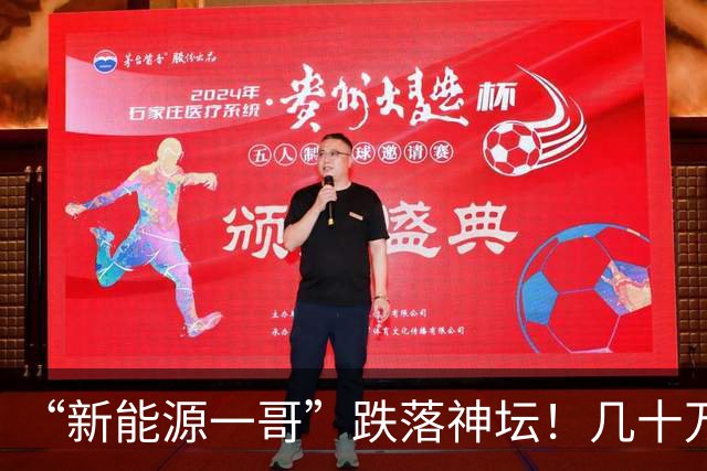 “新能源一哥”跌落神坛！几十万基民亏到怀疑人生，信任碎了一地
