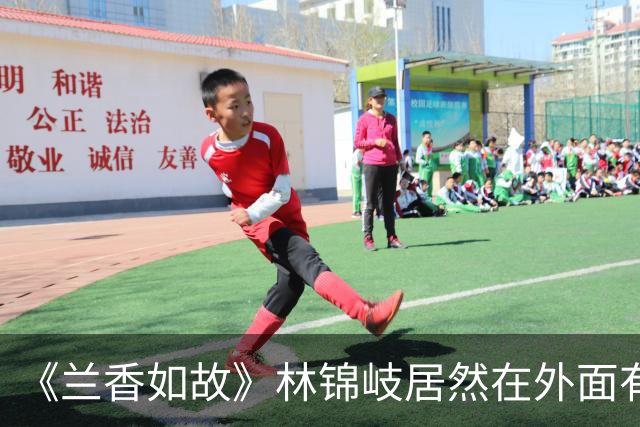 《兰香如故》林锦岐居然在外面有私生子？