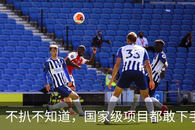 不扒不知道，国家级项目都敢下手