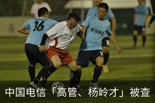 中国电信「高管、杨岭才」被查