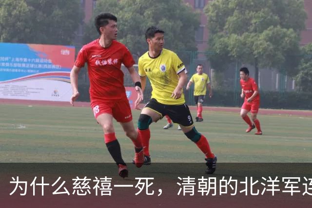 为什么慈禧一死，清朝的北洋军连皇帝都指挥不动？答案非常现实