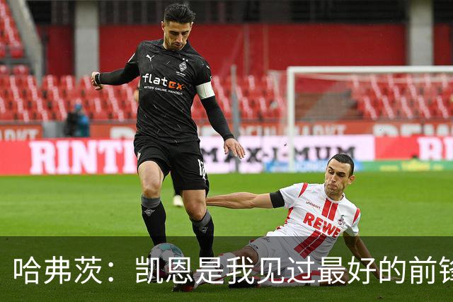 哈弗茨：凯恩是我见过最好的前锋之一；谁进球并不重要
