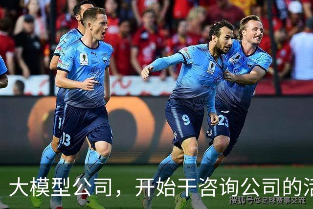 大模型公司，开始干咨询公司的活