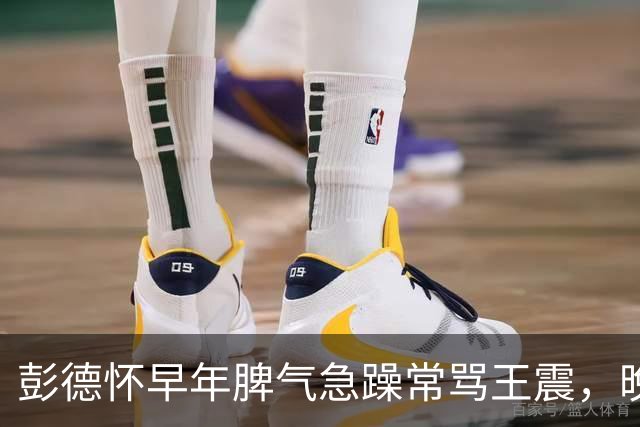彭德怀早年脾气急躁常骂王震，晚年交代：有时间一定帮我看看王震！