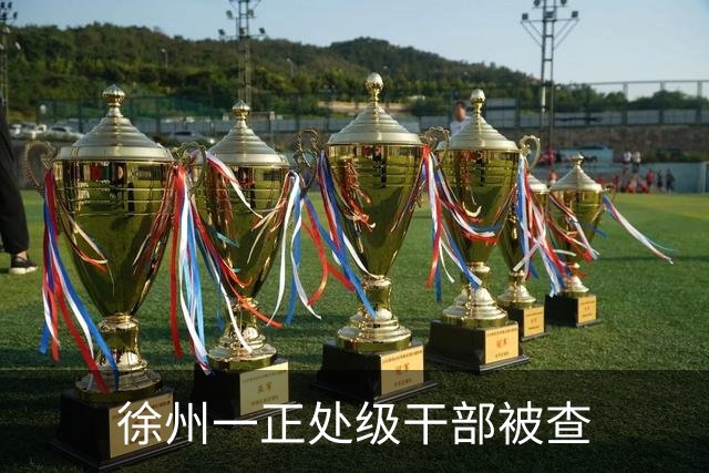 徐州一正处级干部被查