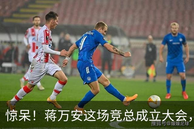 惊呆！蒋万安这场竞总成立大会，靠的竟然是洪孟楷那一句五万人！