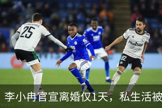 李小冉官宣离婚仅1天，私生活被扒底朝天，原来倪萍当初说的没错
