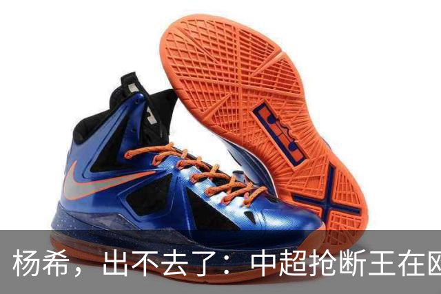 杨希，出不去了：中超抢断王在欧洲没有意义