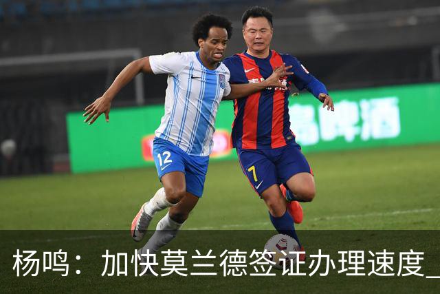 杨鸣：加快莫兰德签证办理速度 磨合需要时间