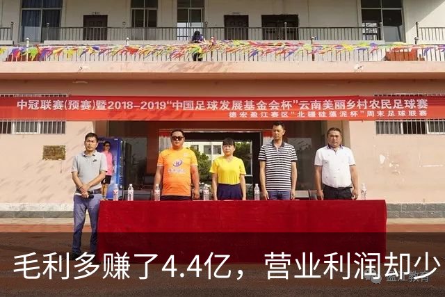 毛利多赚了4.4亿，营业利润却少了9亿：特斯拉的钱去哪了？