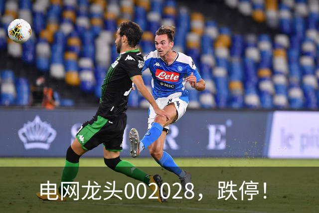 电网龙头002028，跌停！