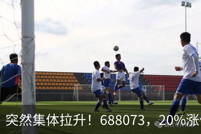 突然集体拉升！688073，20%涨停