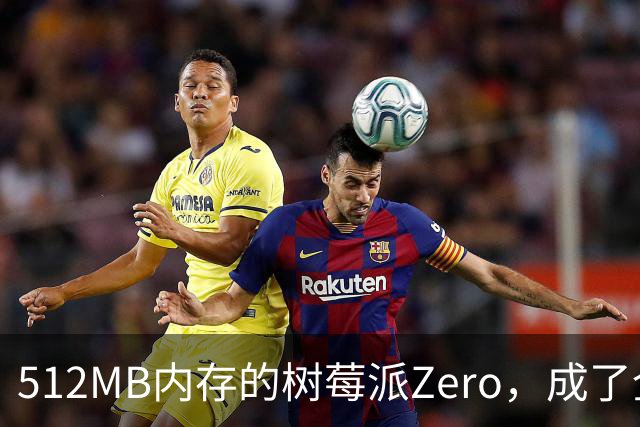 512MB内存的树莓派Zero，成了全家网络的DNS中枢